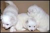 PICT0023.JPG 