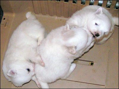 pict0005.jpg
