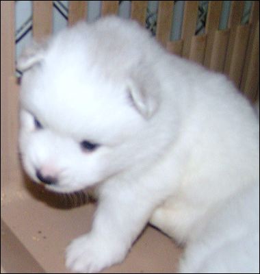 pict0010.jpg