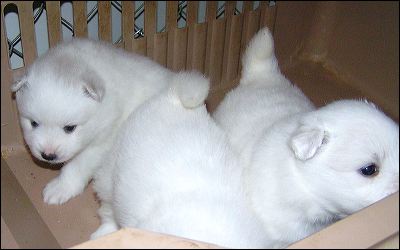 pict0012.jpg