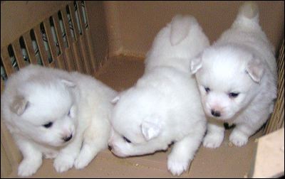 pict0015.jpg