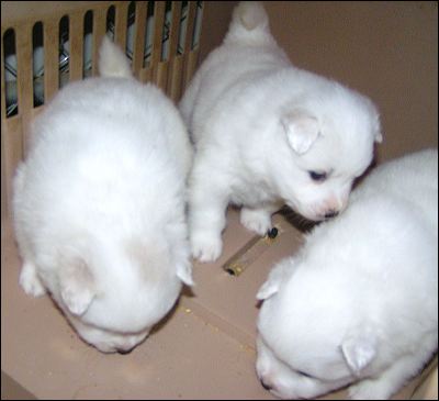pict0016.jpg