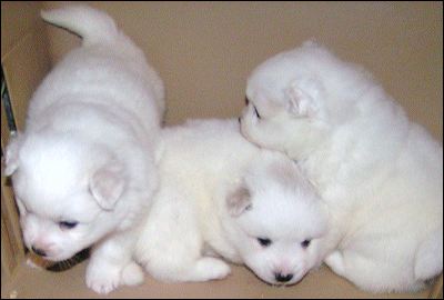 pict0023.jpg