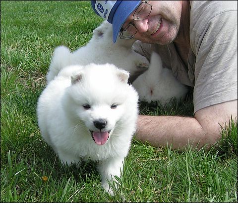 pups14.jpg
