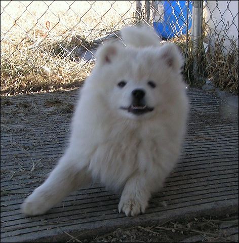 pict0042.jpg
