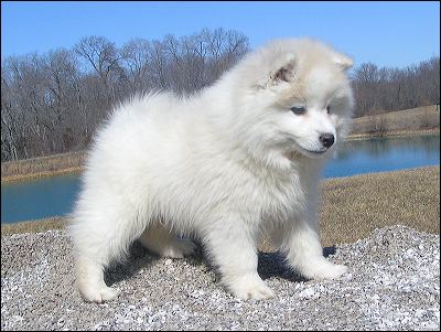 gabby-1.jpg