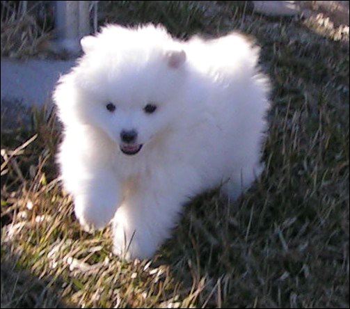 pict0030.jpg