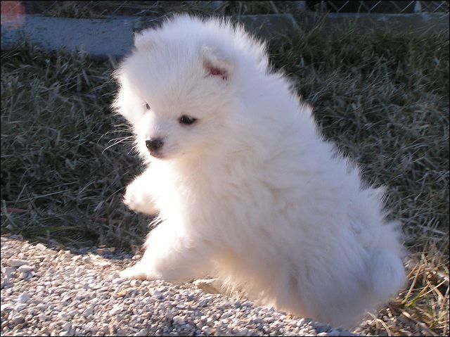 pict0037.jpg