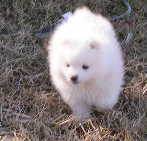 pict0039.jpg