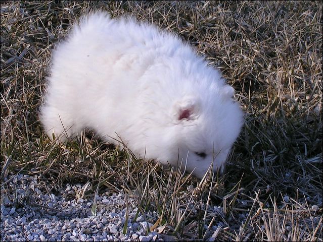 pict0043.jpg