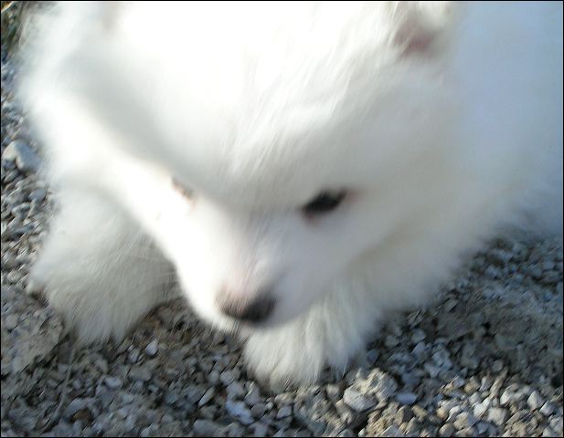 pict0044.jpg