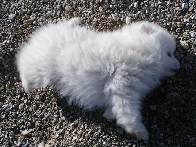 pict0045.jpg
