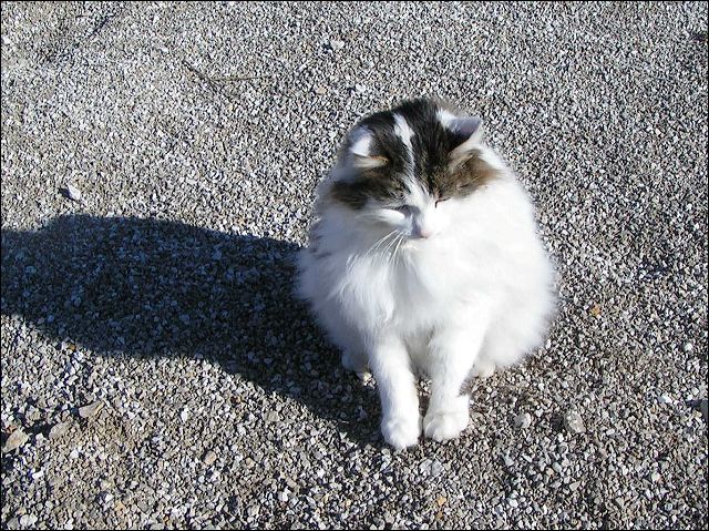 pict0046.jpg