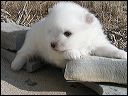 pict0062