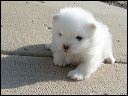 pict0064