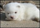 pict0065