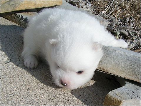 pict0060.jpg