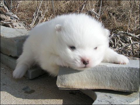 pict0061.jpg
