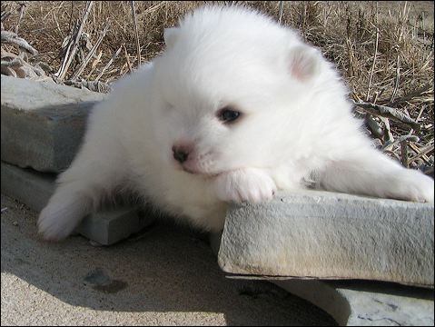 pict0062.jpg