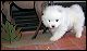 PICT0004.JPG 