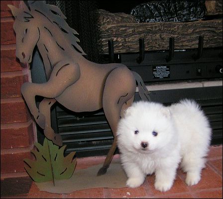 pict0009.jpg
