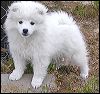 PICT0076.JPG 
