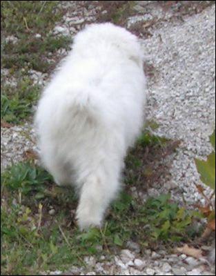 pict0049.jpg
