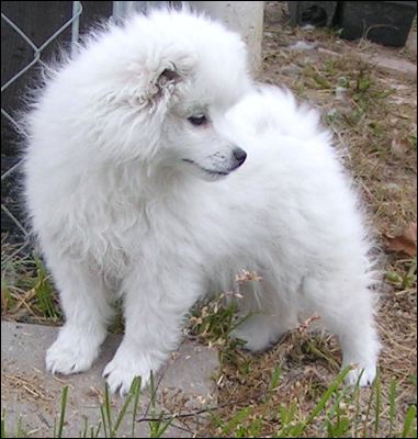 pict0071.jpg
