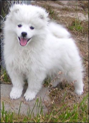 pict0074.jpg
