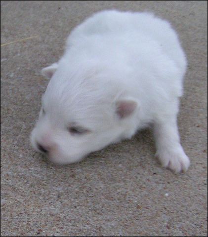 boy-1.jpg