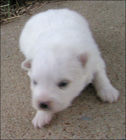 boy-2.jpg