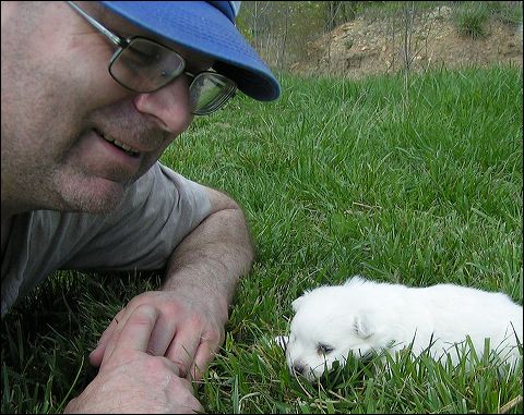 pups13.jpg