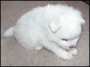 pict0066