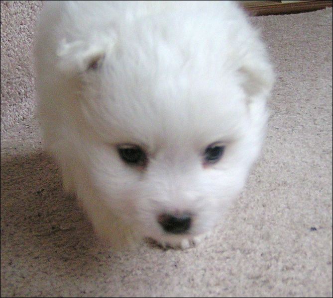 pict0059.jpg