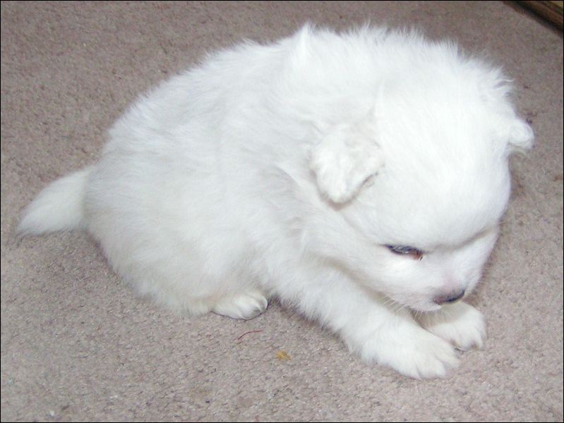 pict0066.jpg