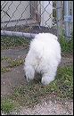 pict0084
