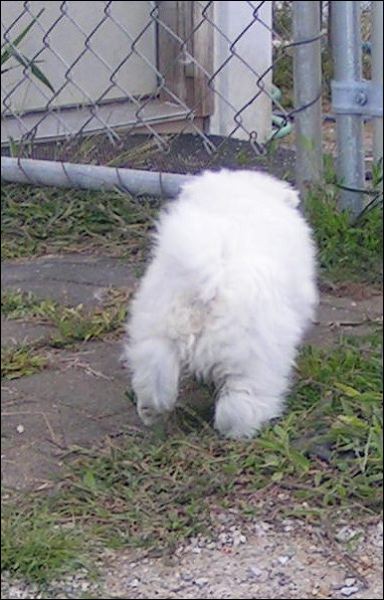 pict0084.jpg