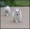 girl(front) - boy.JPG 