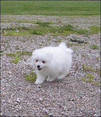 boy-2.jpg