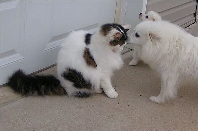 kissth~1.jpg