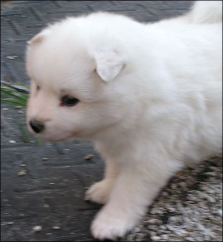 boy-5.jpg