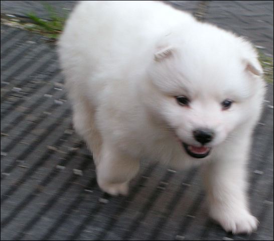 boy-6.jpg