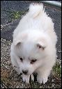 girl-1