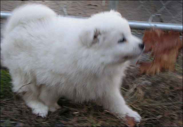 boy-1.jpg