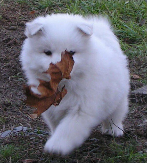 boy-2.jpg
