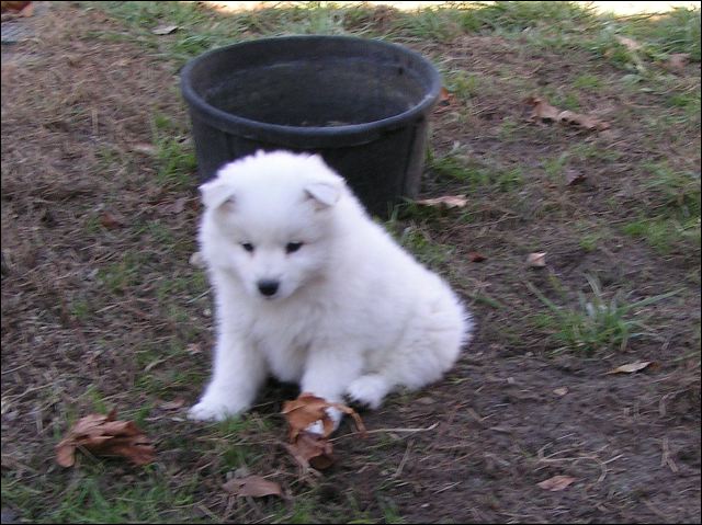 boy-4.jpg