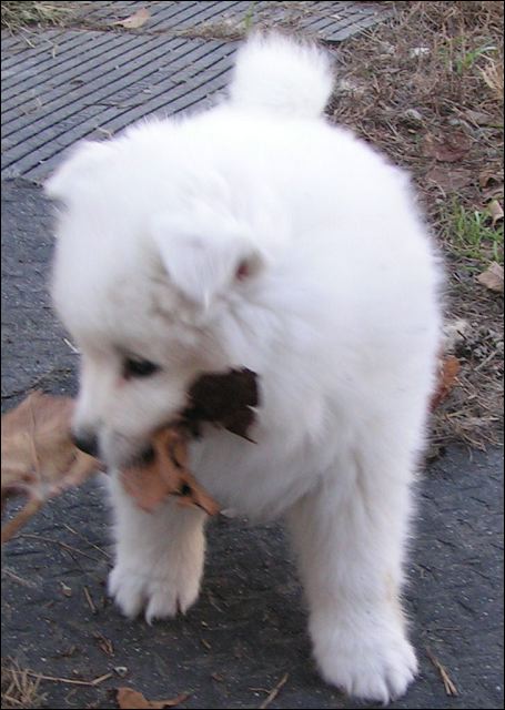 boy-6.jpg