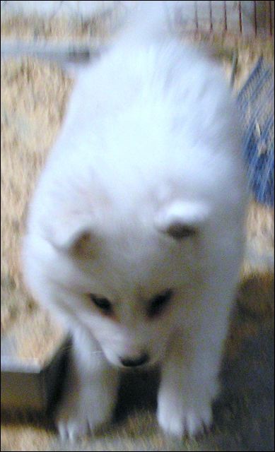 girl-1.jpg
