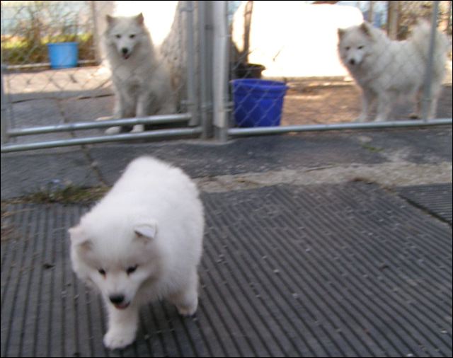 pict0021.jpg