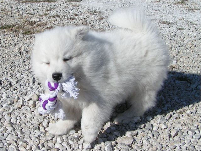 boy3.jpg